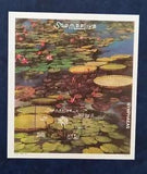 Somalia art water lily flowers 1 block MNH