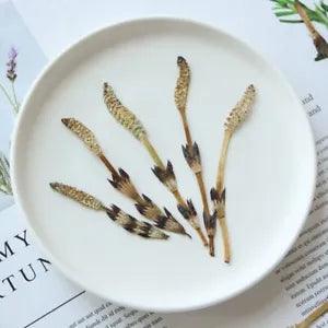 12PCS Real Pressed Dry grass Flower, floral supply leaves for art craft FSS63