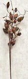Dried Rose Hip Floral Pick Decor Accent