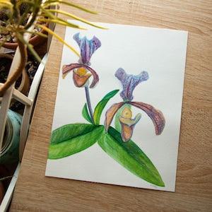 Original Watercolor Series - In My Garden: Deux Orchid???es (6.5x8.5in)