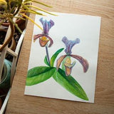Original Watercolor Series - In My Garden: Deux Orchid???es (6.5x8.5in)