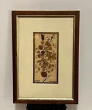 Vintage Italian Dried Pressed Flowers Signed by Artist Florence, Italy