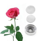 Carnation Flower Silicone Molds Stainless Steel Cutter Mold Petal Fondant Decor