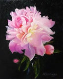 Oil Painting Canvas Pink Peony Flowers Floral Collectible Art Realism