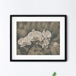 Orchid Flowers Original Drawing - Handmade White Orchids Pencil Sketch - 9x12 Floral Realism Study with 11x14 Mat - One of a Kind Fine Art
