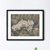 Orchid Flowers Original Drawing - Handmade White Orchids Pencil Sketch - 9x12 Floral Realism Study with 11x14 Mat - One of a Kind Fine Art