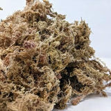 4 Gallon Long Fiber New Zealand Sphagnum Moss 20oz [460 Grams]