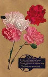 Vintage Postcard 1910's Carnation Flowers Wishes Could Make You Happy Greetings