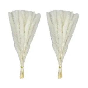 60 Stems Pampas Grass 17.5",Natural Dry Flowers Small Pampas Grass Branches