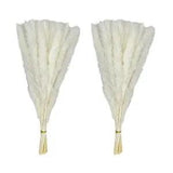 60 Stems Pampas Grass 17.5",Natural Dry Flowers Small Pampas Grass Branches