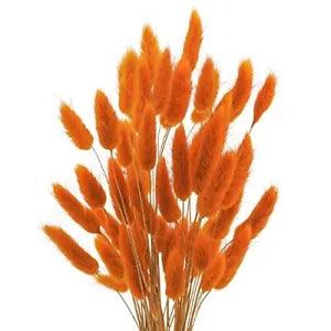 120 Pcs Natural Bunny Tails Dried Flowers, 17???? Dried Lagurus Orange-120pcs