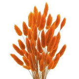 120 Pcs Natural Bunny Tails Dried Flowers, 17???? Dried Lagurus Orange-120pcs
