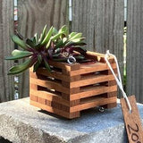 205. Salvaged Spanish Cedar Wood Hanging Basket Planter for Orchids, Bromeliads, Ferns, Cacti, Other Epiphytes and Succulents