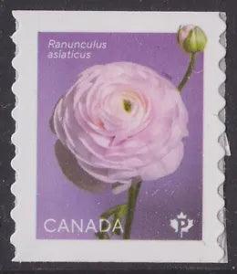 Canada 3374 Ranunculus White 'P' coil single (1 stamp) MNH 2023