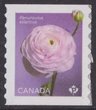 Canada 3374 Ranunculus White 'P' coil single (1 stamp) MNH 2023