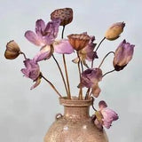 Lotus Dried Flower Set 5 PCS Lotus Flower 3 PCS Lotus Pod With Stem Immortal New