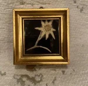 Vintage Mini Framed Dried Flower