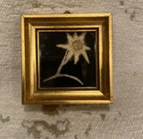 Vintage Mini Framed Dried Flower