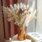 Total 104 pcs /11 Various Dried Pampas Grass D???cor, White Pompous 104 pcs white