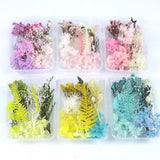 1Box Dried Flower Aromatherapy Epoxy Resin Filling Craft Decor Accessories DIY