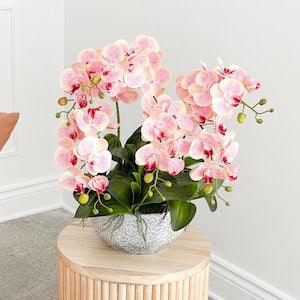 Artificial Blush Orchid Arrangement, Orchid Florals, Artificial Flowers, Home Decor,Gift,Faux Flowers, Events, House Warming, For Her