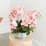 Artificial Blush Orchid Arrangement, Orchid Florals, Artificial Flowers, Home Decor,Gift,Faux Flowers, Events, House Warming, For Her