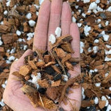 Coconut husk orchid mix,  Medium orchid mix, Orchid soil for medium to large orchids, Orchid repotting medium, Hand mixed in small batches