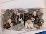 2 New Boxes Of Natural Dried Cream & Brown Pods For Crafting Or Bowl Fill Decor.