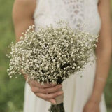 Gypsophila Bouquet, Preserved Gypsophila, Bridal bouquet, wedding bouquet, wedding flower, dried flower bouquet, wedding accessories