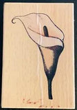 Calla Lily Rubber Stamp Sugarloaf Whispers