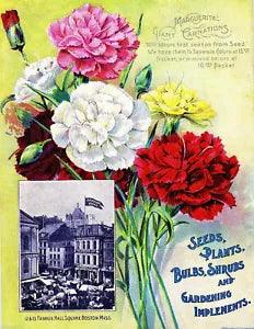 96235 Rawson Carnations Flowers Seed Packet Decor Wall Print Poster