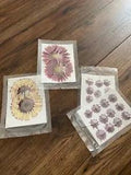 Dried Flowers for Resin Dried Pressed Flowers for DIY