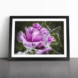 Purple Peony Flower Vol.2 Framed Wall Art Poster Print Home Decor Picture Large