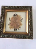 NEW LISTINGORIGINAL DRIED FLOWER WALL ART UNDER GLASS WOOD FRAME 4.25x 4.25 INCHES UNIQUE