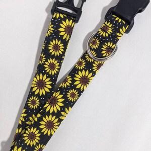Sunny After Dark Dog Collar