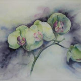 Green Orchid - Original Watercolor Painting - Fine Art - Botanical Painting - Watercolor Flower - Tropical Flower