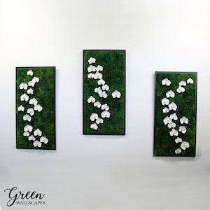 Framed Moss and Orchid Art | Green Wallscapes
