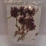 Botanical - Real Pressed & Dried Flower Sticker Crafts Purple Flowers
