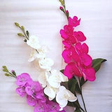 Paper Orchid | Home and Event Decoration