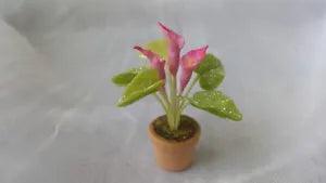 DOLLHOUSE MINIATURE POLYMER PINK CALLA LILY FLOWERS?IN CLAY POT 1/12 #2