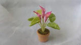DOLLHOUSE MINIATURE POLYMER PINK CALLA LILY FLOWERS?IN CLAY POT 1/12 #2