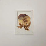 Vintage Pressed Flower Framed Artwork Signed 3 X 4 Inch