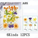 12PCS Real Pressed Dry flowers collection, Flowers leaves as picture FHT507