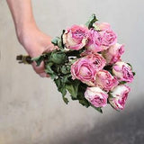10x dried rose flowers ??natural rose with stems??dried  rose flowers for vase??dry flowers arrangemaenat home decor??wedding rose decor