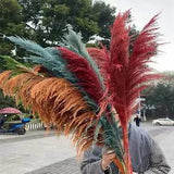 Large Dried Flowers Pampas Grass Tall Boho Home Decor Floral Wedding  Room Decor