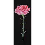 Cross-stitch kit  Carnation Pink 467-05  Thea Gouverneur  Aida black