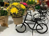 Flower Natural Flower Natural Dried Flowers Bouquet Dry Flower