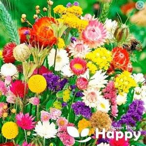 EVERLASTIG FLOWER MIX - For Use In Dryflower Arrangements - 1g of seeds