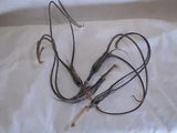 8 NATURAL EXTRA LG 13"+ WHITE SEED DEVIL'S CLAW PODS FOR CRAFTS,  DRIED FLORALS