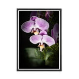 Botanical Photograph Print, Orchid Print, Flower Photography Print | Pink, White, Green Orchid, Floral Photography, Flower Wall Art